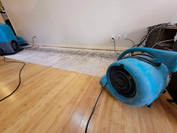 Professional Basement Flood Cleanup technician working in Kingston, WA